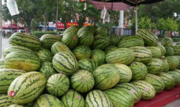 网红吃瓜爆料平台是什么,揭秘娱乐圈幕后真相